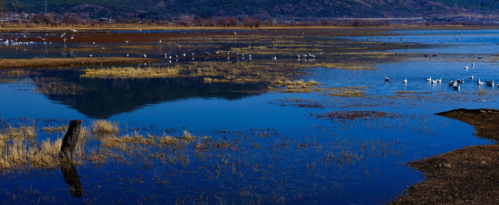 云南麗江·茶馬道拉市海麗世山居酒店設計 云南麗江·茶馬道拉市海麗世山居酒店設計