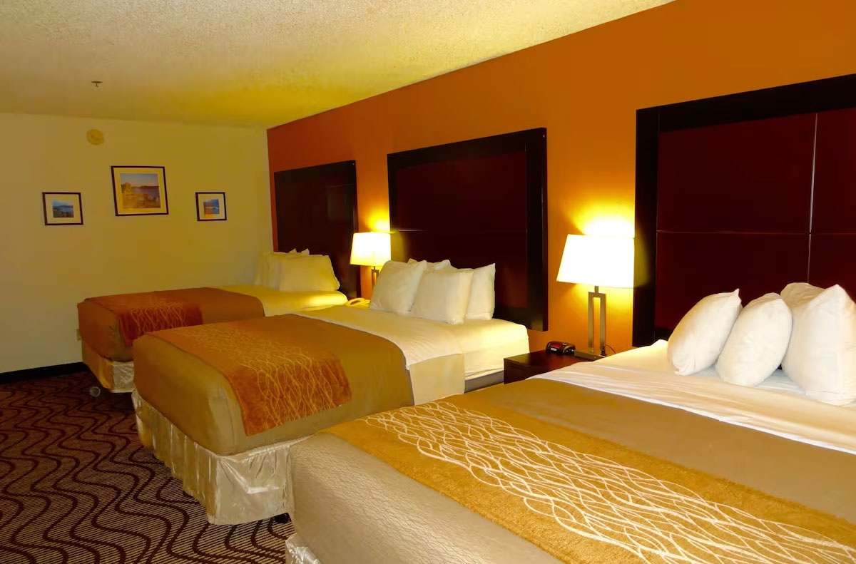 酒店客房設(shè)計細節(jié)的全面知識點解讀 酒店客房設(shè)計細節(jié)的全面知識點解讀